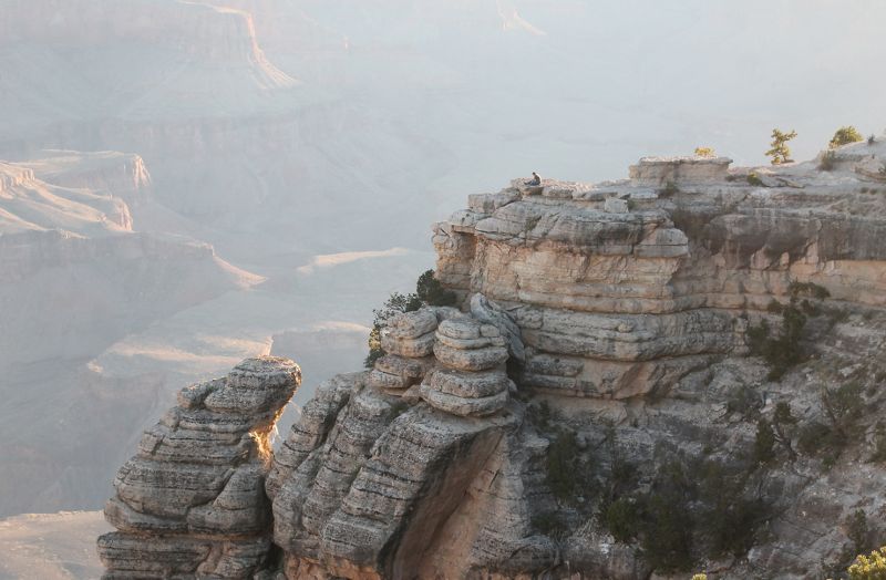 canyon scene image